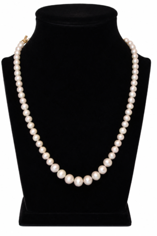 Pearl necklace Singleline