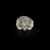 Crystal Tortoise